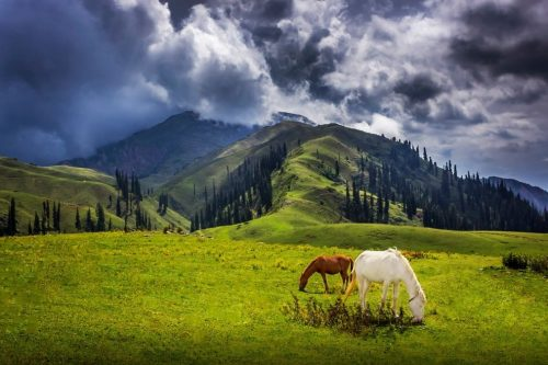 Naran Kaghan Travel Guide 2026 Pakistan's Alpine Paradise